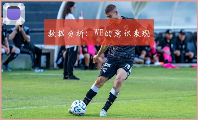 数据分析：WE的意识表现